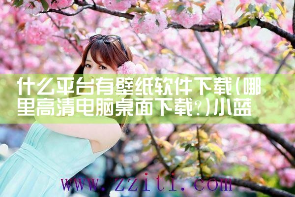 什么平台有壁纸软件下载|小蓝视频