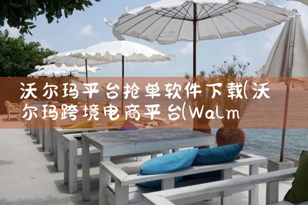 沃尔玛平台抢单软件下载|小蓝视频