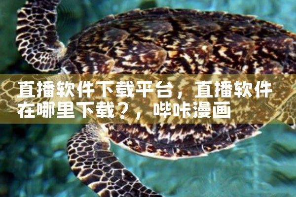 直播软件下载平台|哔咔漫画