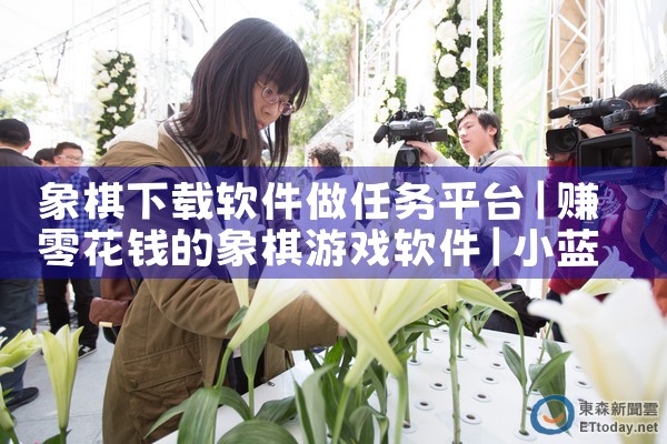 象棋下载软件做任务平台|小蓝视频