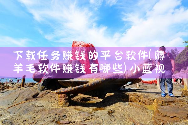 下载任务赚钱的平台软件|小蓝视频